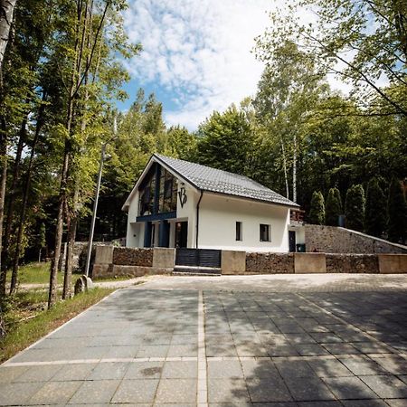 Vila Blanc Valiug Crivaia Zewnętrze zdjęcie