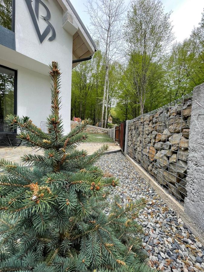 Vila Blanc Valiug Crivaia Zewnętrze zdjęcie
