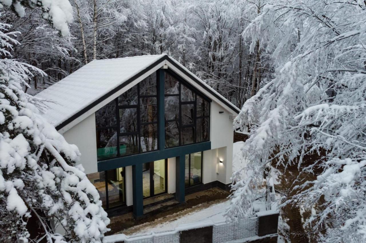 Vila Blanc Valiug Crivaia Zewnętrze zdjęcie