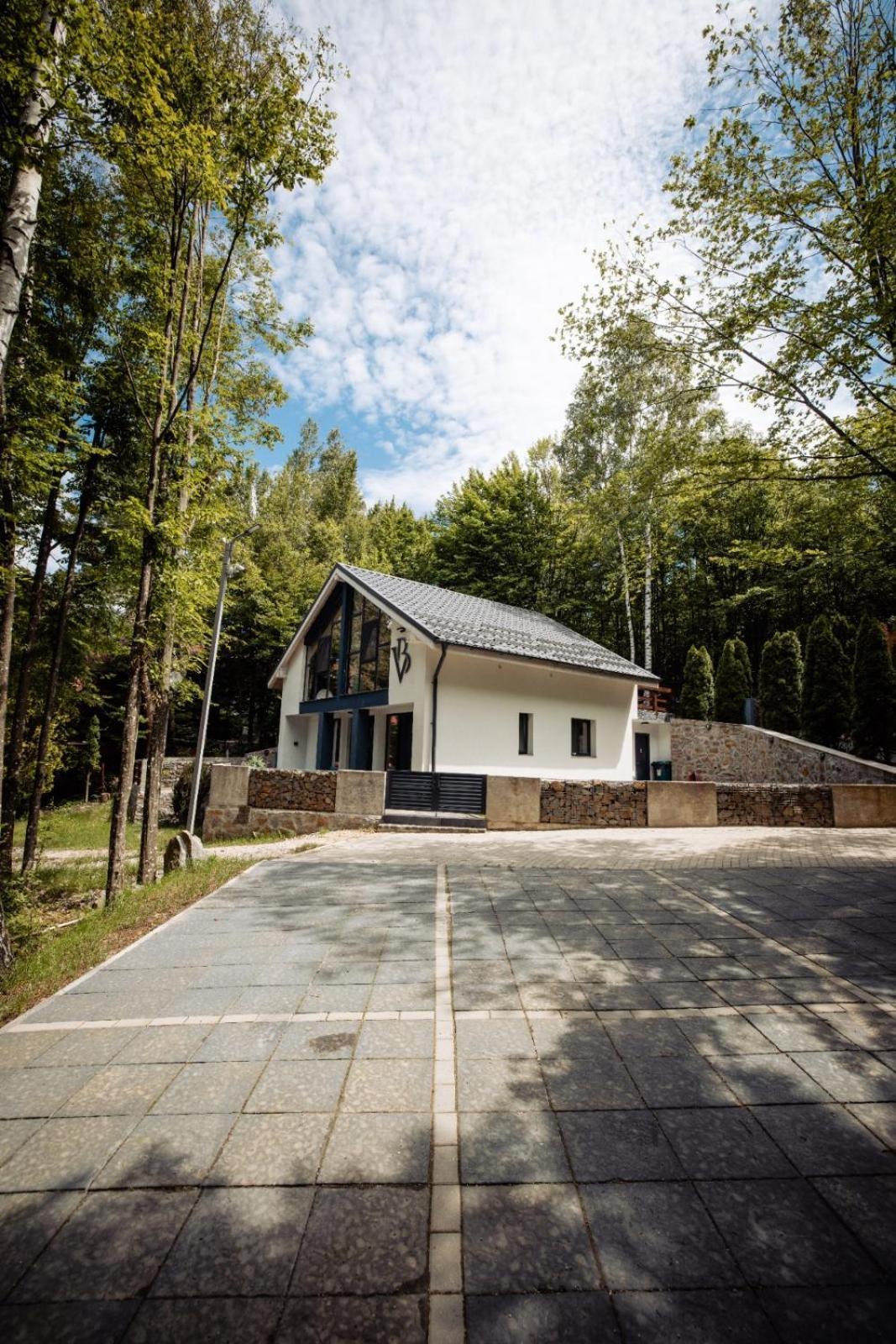 Vila Blanc Valiug Crivaia Zewnętrze zdjęcie